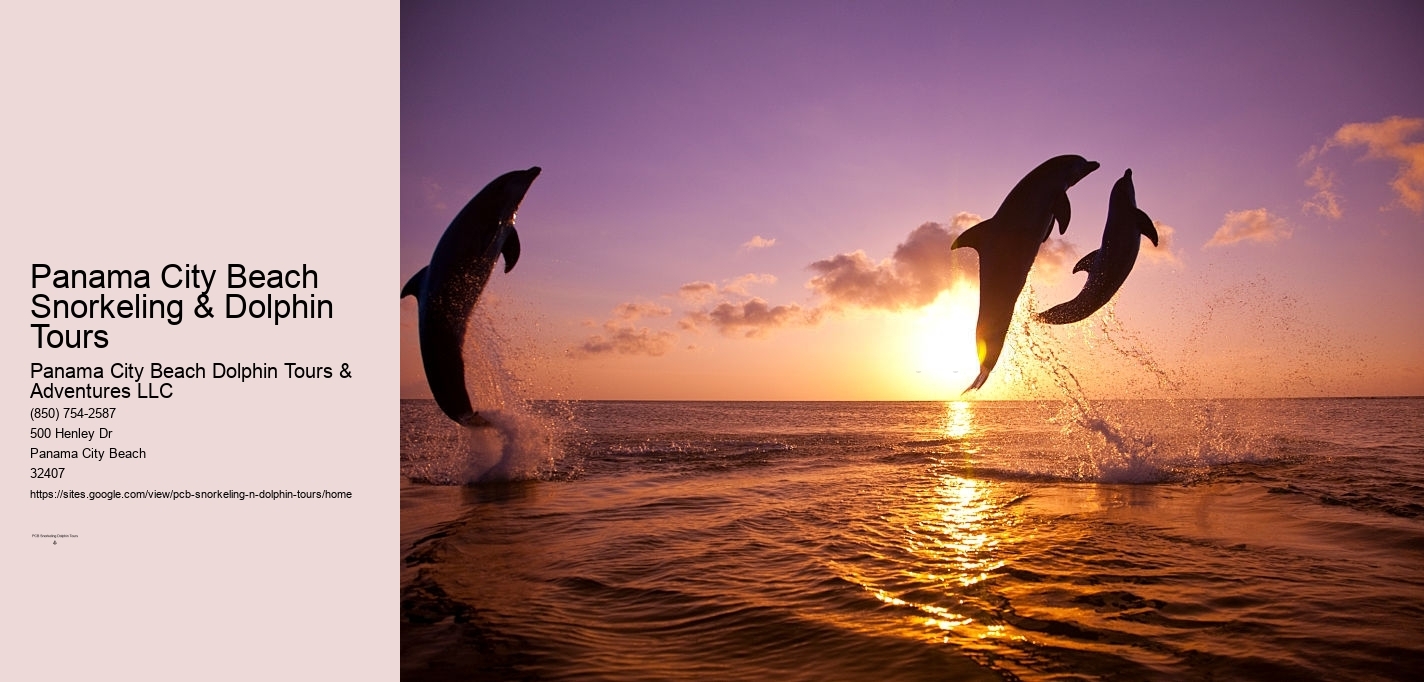 Panama City Beach Snorkeling & Dolphin Tours